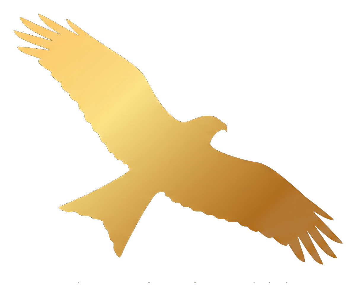 All In On AI kite logo